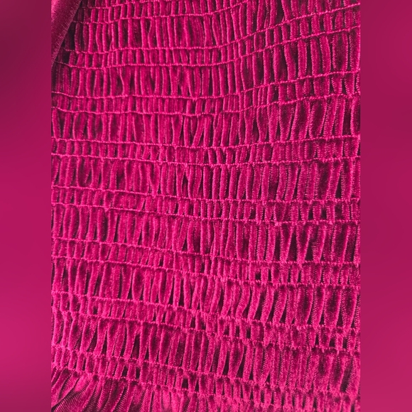 Velvet Blouse - Picture 2 of 3